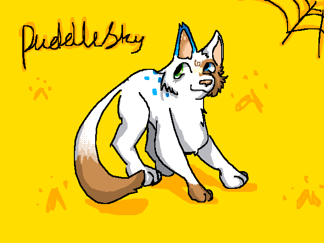 My cutesy little warrior cats oc