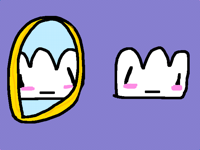 Reflection Contest 🪞