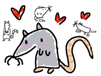 I love rats!! 🐀❤️