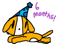 My dog turned half yesterday