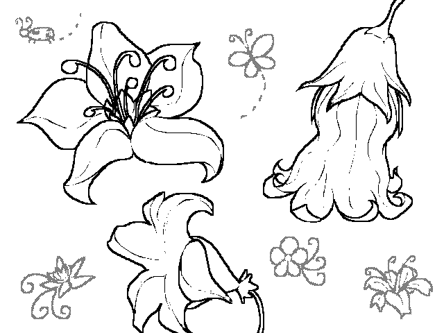 more flowers 🌷🙆‍♀️ test