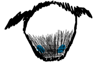 shin 1