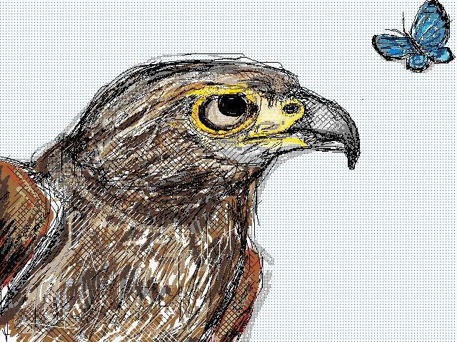 Butterfly+hawk
