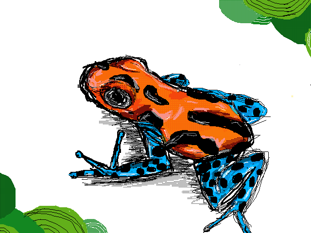 Dart frog