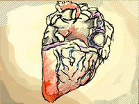Heart