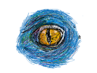 Eye 2