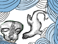 Selkie