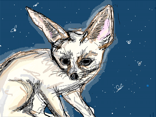 Fennec fox