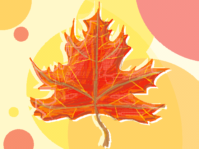 🍂 I can’t wait for autumn 🍂
