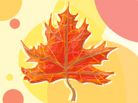 🍂 I can’t wait for autumn 🍂