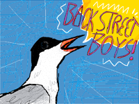 And what sound does an arctic tern make?