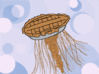 Pie jellyfish