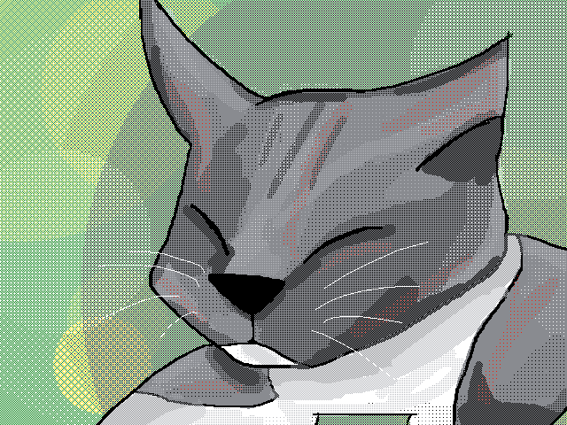 Greetings from my cat