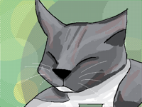 Greetings from my cat