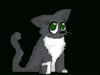 ·˚ ༘ Tom⋆｡˚