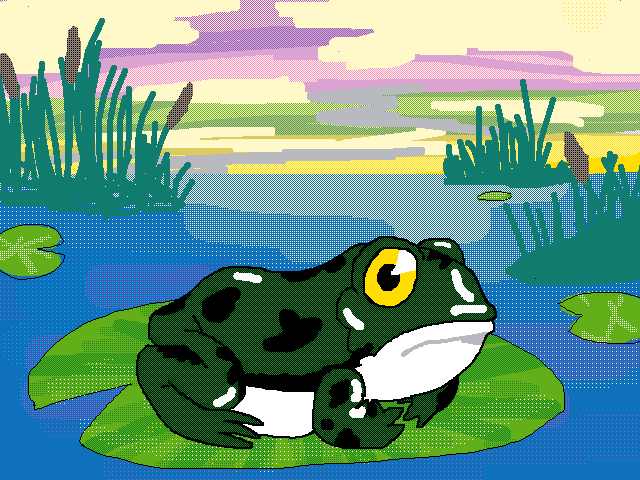 Up-close of a frog not croaking