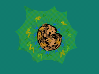 Sleeping in the forest