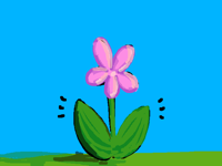 Just a flower