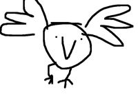 Bird