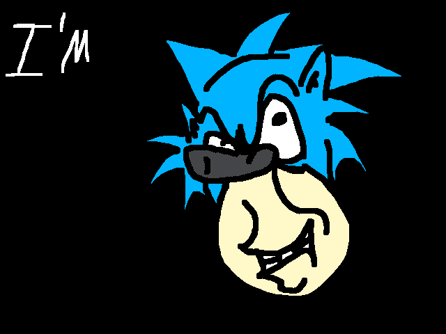 sonic the slowhog