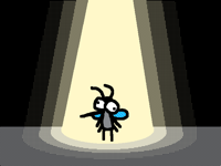 Mosquito at 3AM