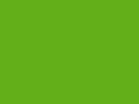 I didn't fill with green