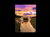 POV: Me when the Devs/Mods give me Feature