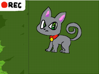 A cat night
