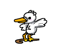 Duck