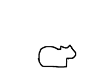 cat meme