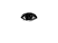 My own eyes