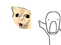 What is that?