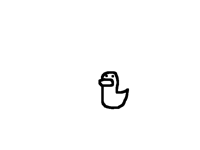 duck