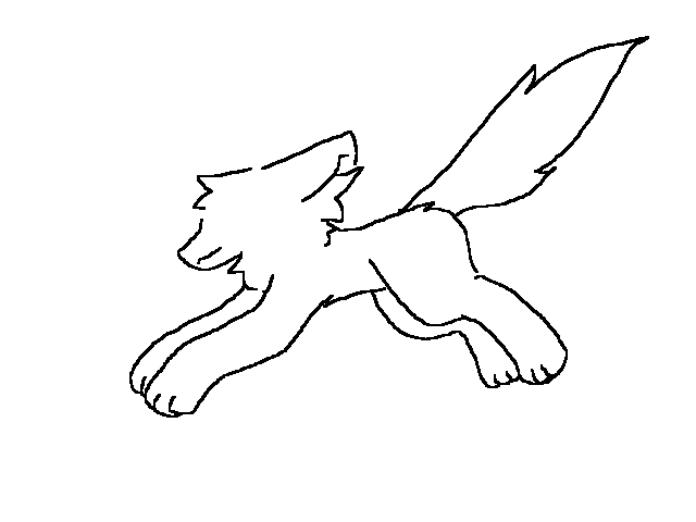大猫跑