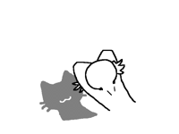 My shadow is cat