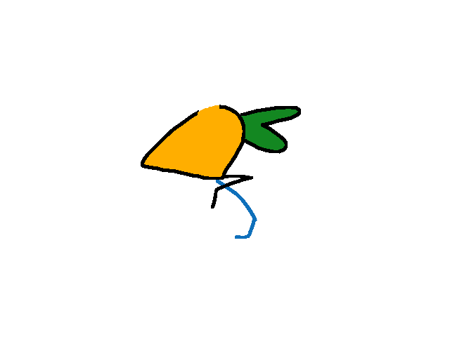 Carrot bird