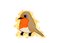 Robin🍁