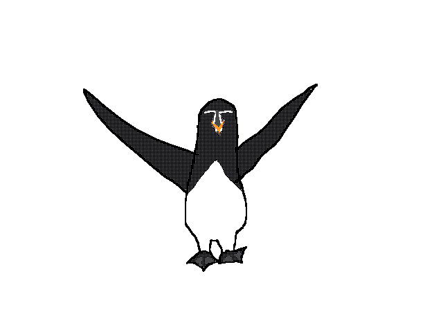 razorbill（wb
