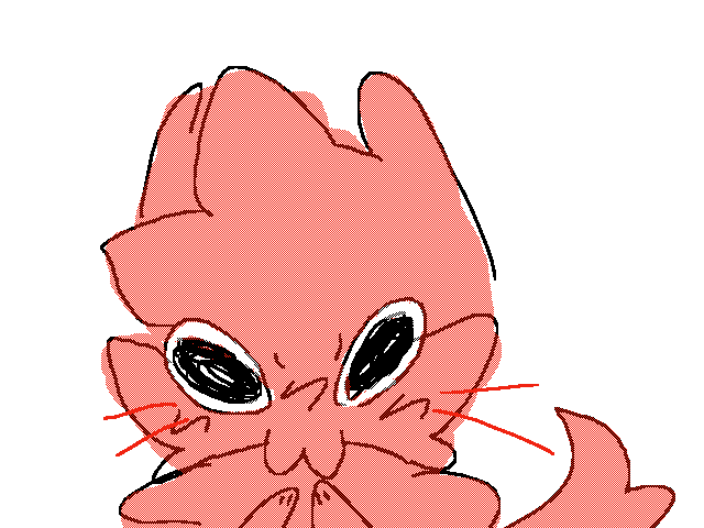 meow