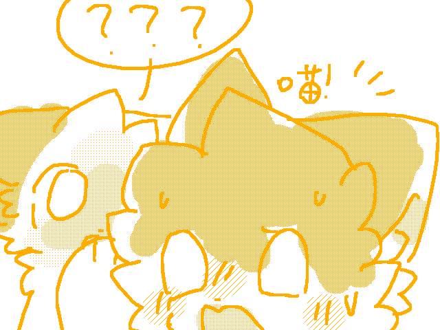 What on earth did he say