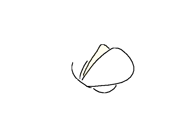 蝴蝶