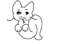 奇怪的猫咪