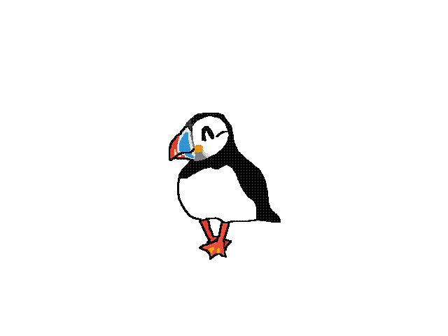 Atlantic Puffin（wb