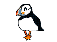 Atlantic Puffin（wb