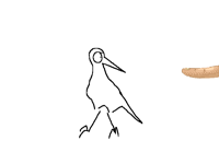 ？！！