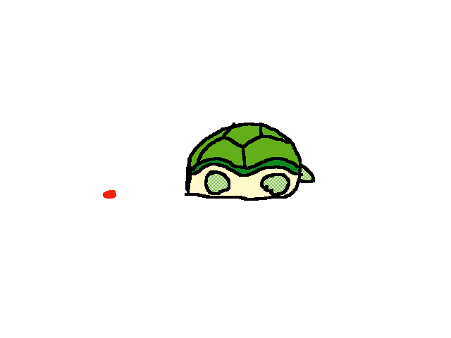 🐢乌龟