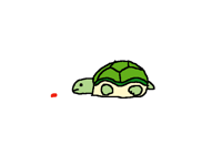 🐢乌龟