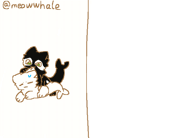 喵嗷，懂的都懂