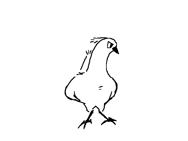 White peacock（摇摇一分钟（wb