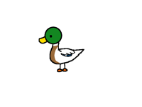 鸭鸭🦆